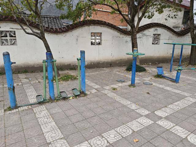 陜西中醫藥大學附屬醫院為郭鎮街村捐贈的健身器材正式投入使用:健身器材
