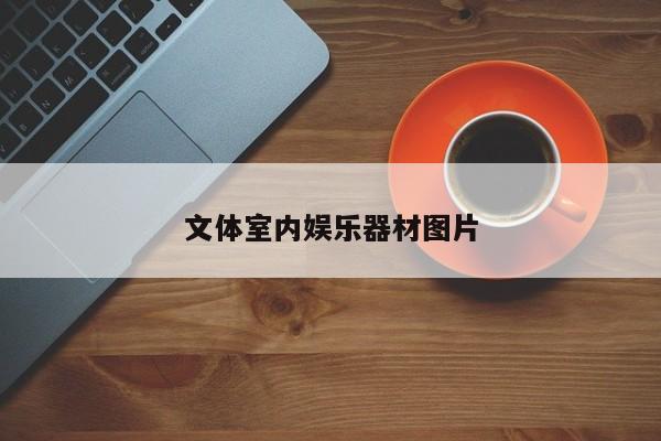 文體室內娛樂器材圖片